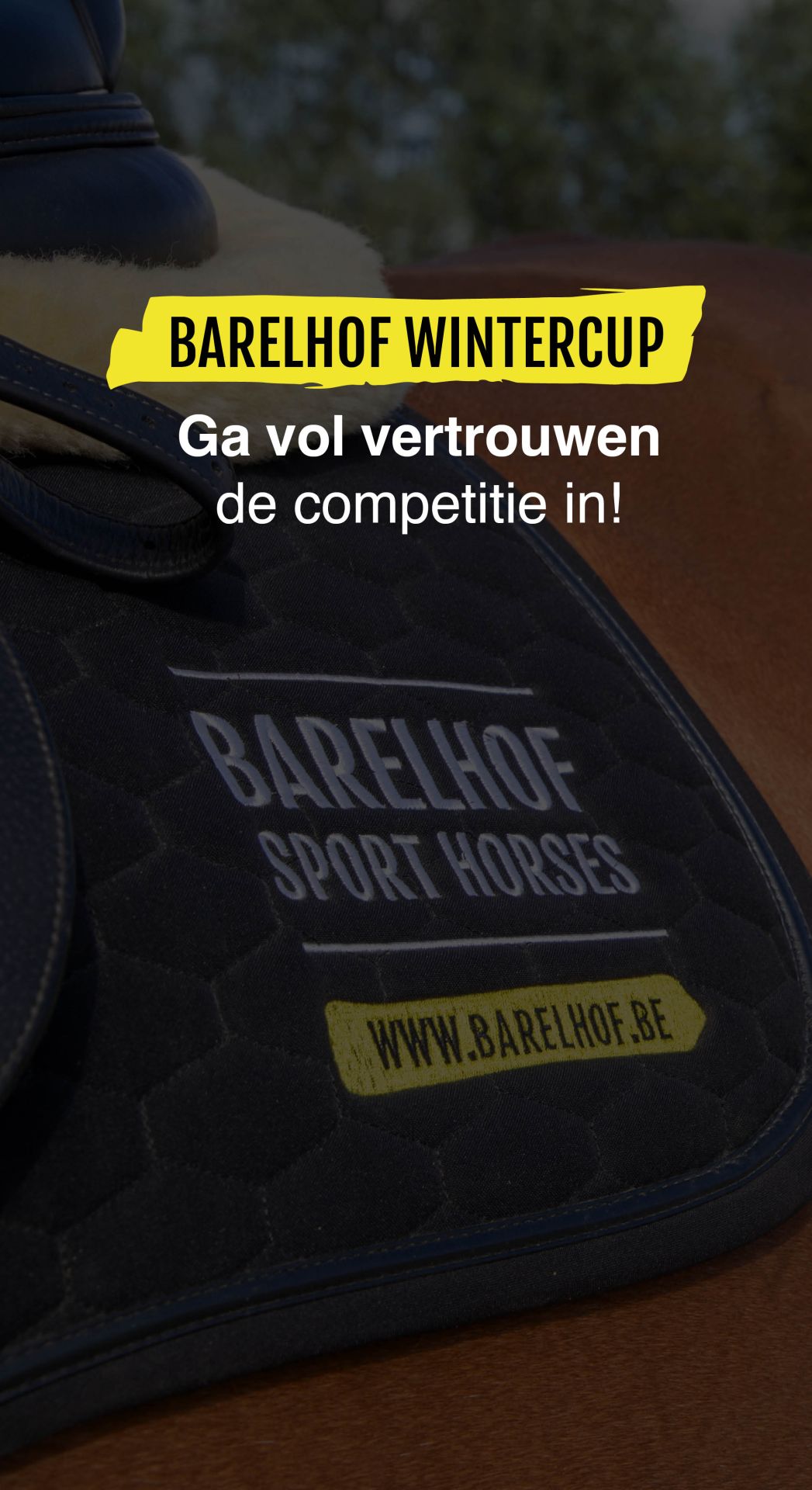 Contentcreatie