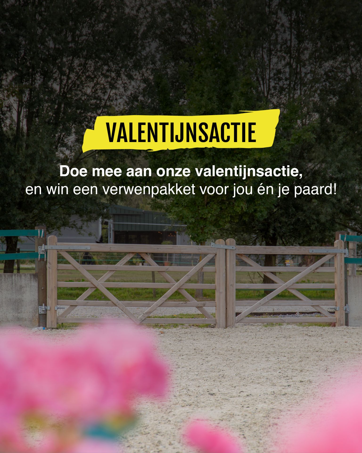 Contentcreatie
