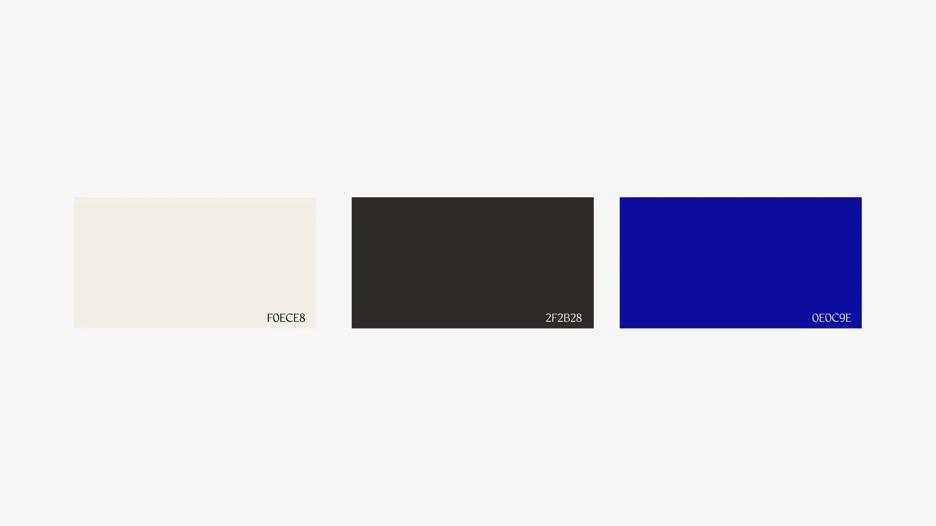 Color Palette