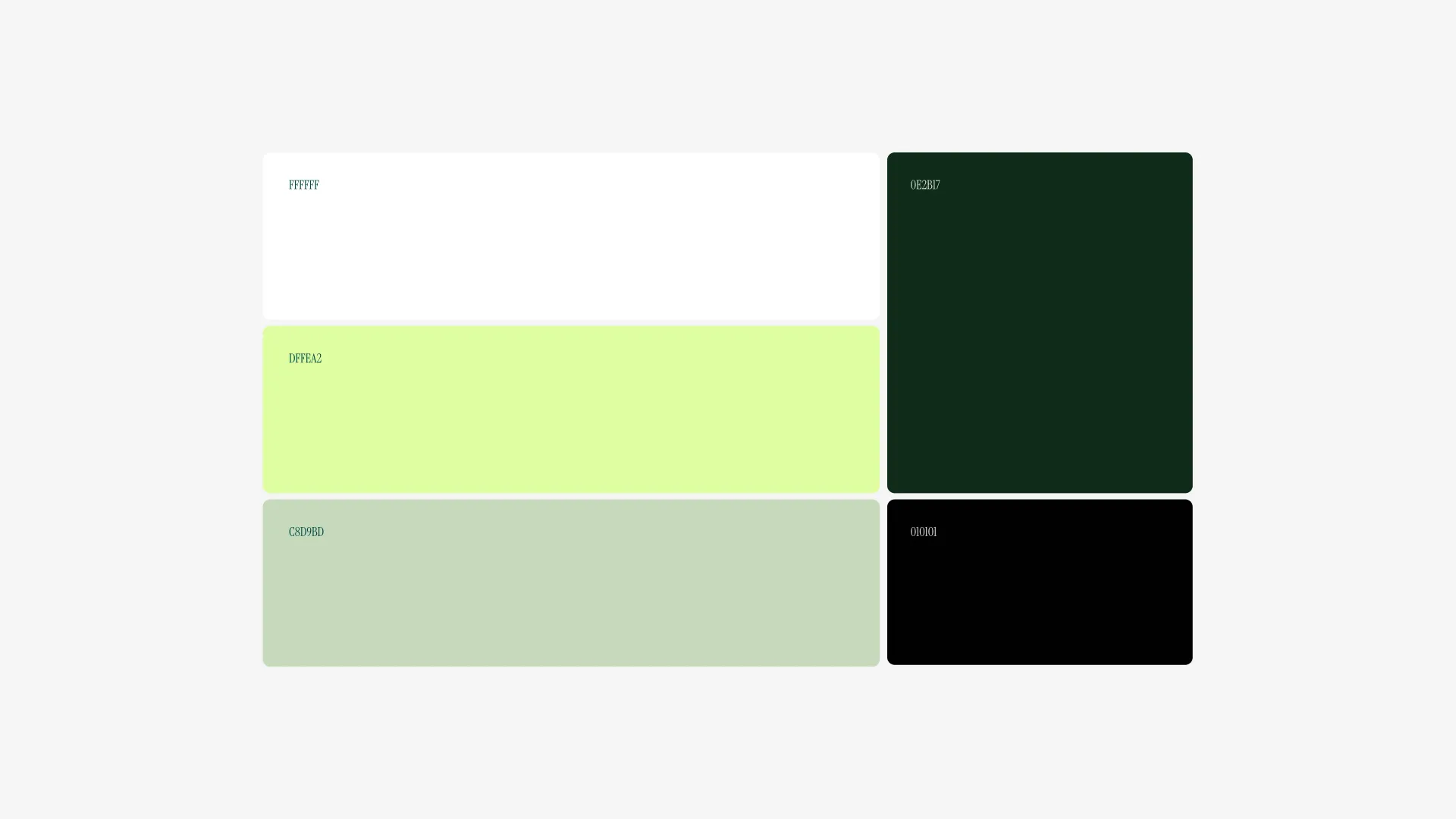 Color Palette