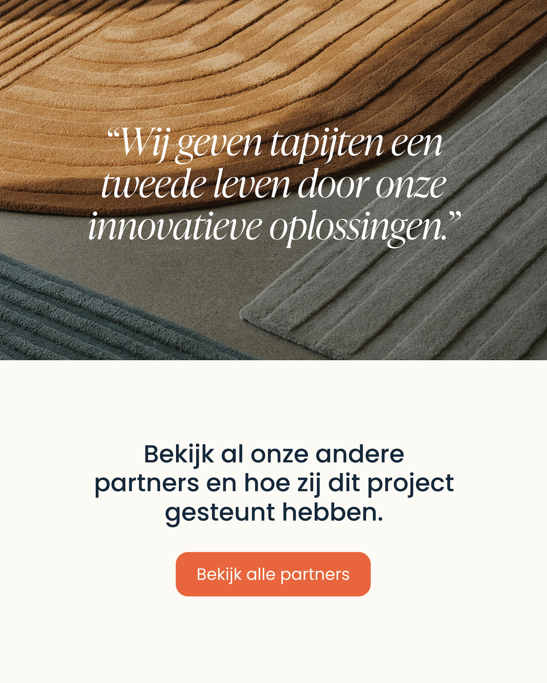 Webdesign voor LLcarpet