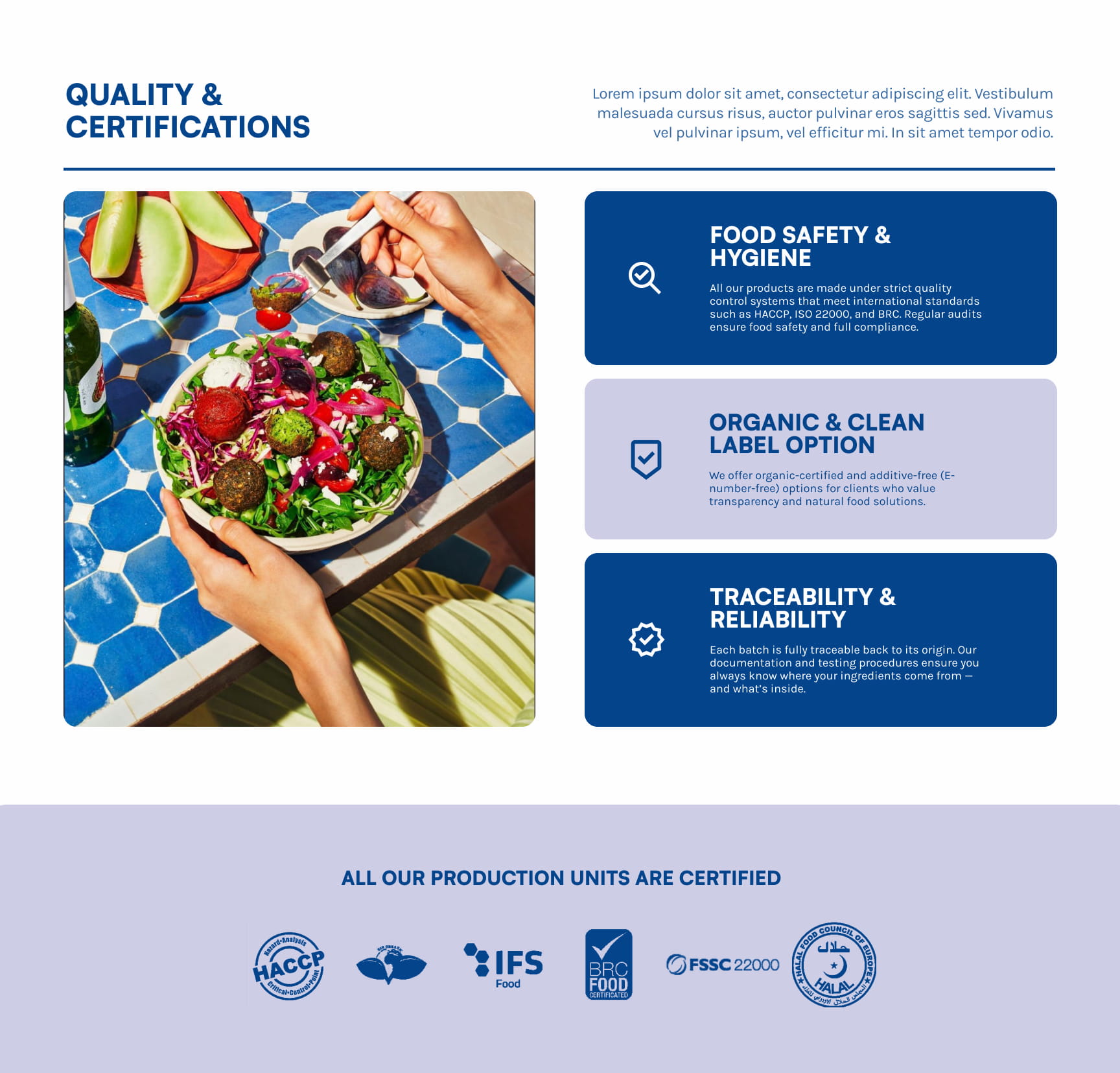 Webdesign voor Gedimex