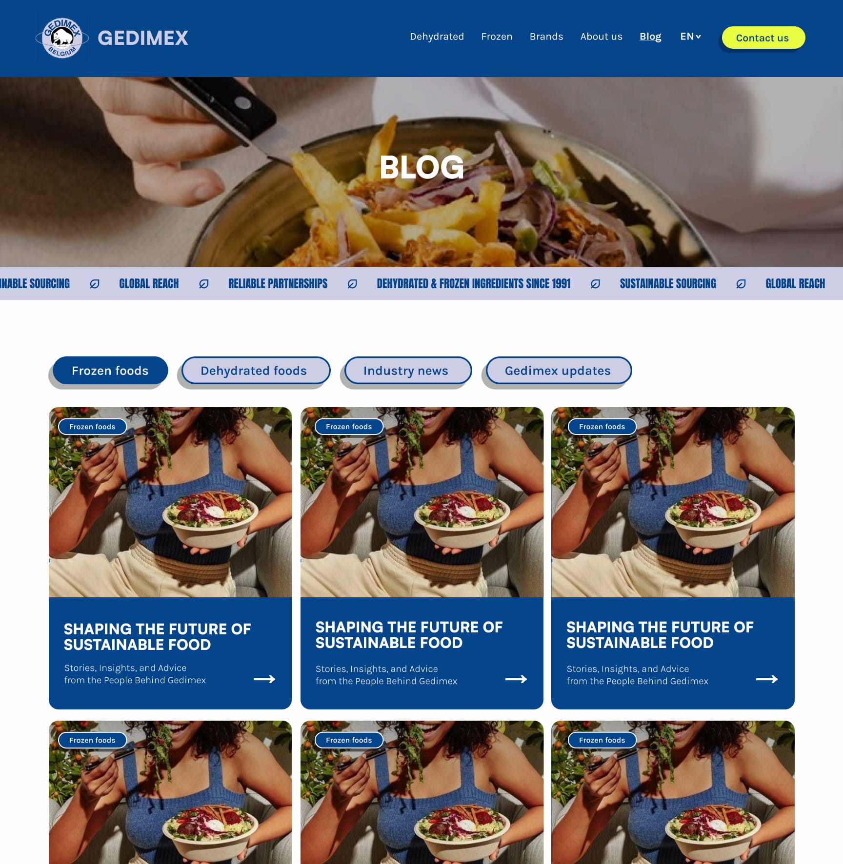 Webdesign voor Gedimex