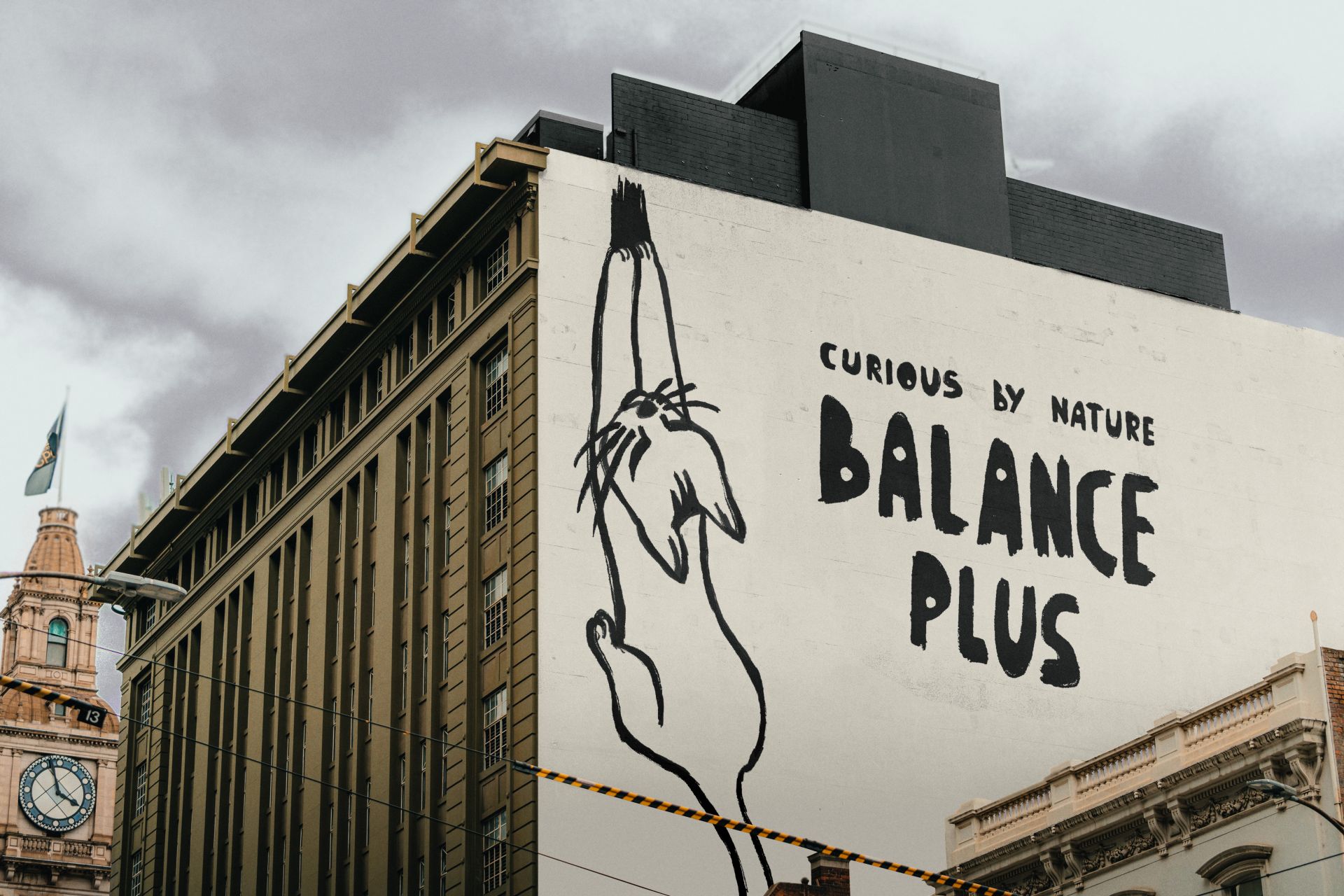 Balance Plus - Branding